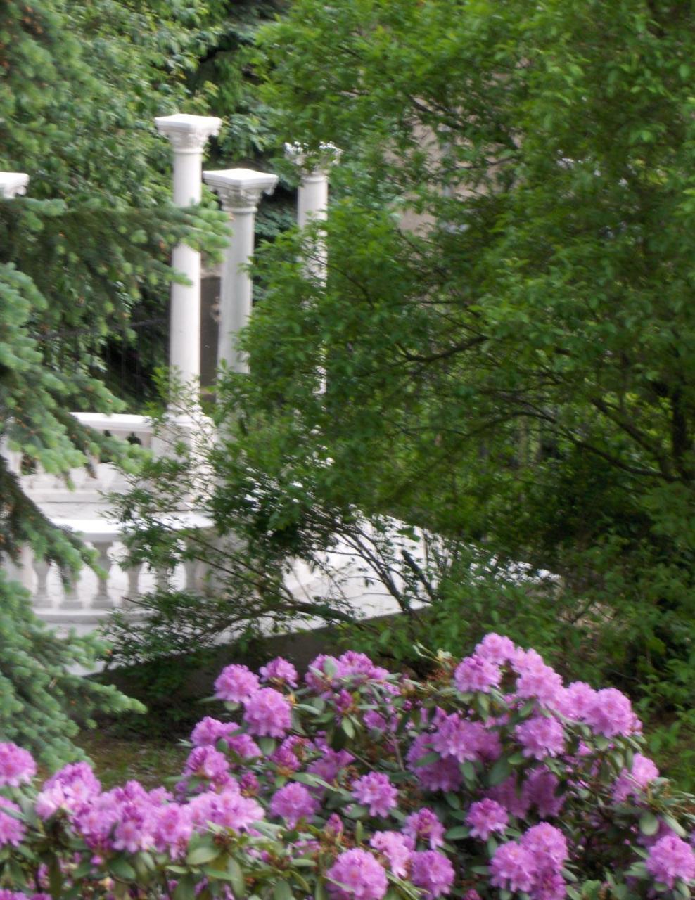 Romantic Chateau Krásná Lípa المظهر الخارجي الصورة