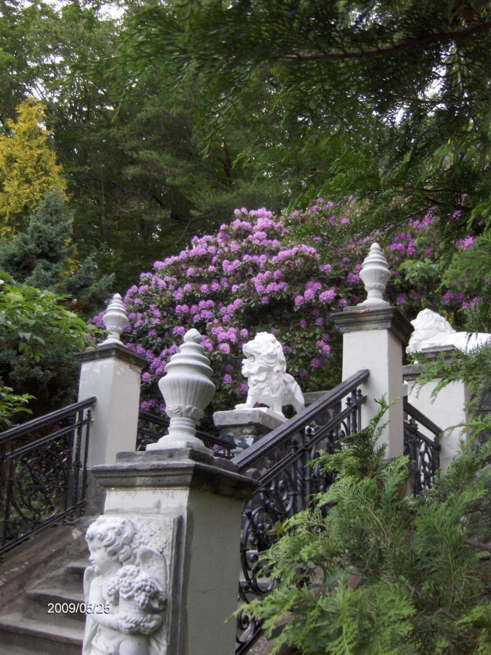 Romantic Chateau Krásná Lípa المظهر الخارجي الصورة