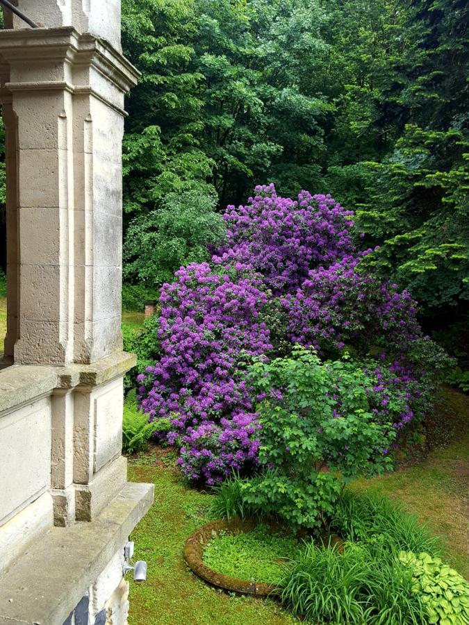 Romantic Chateau Krásná Lípa المظهر الخارجي الصورة